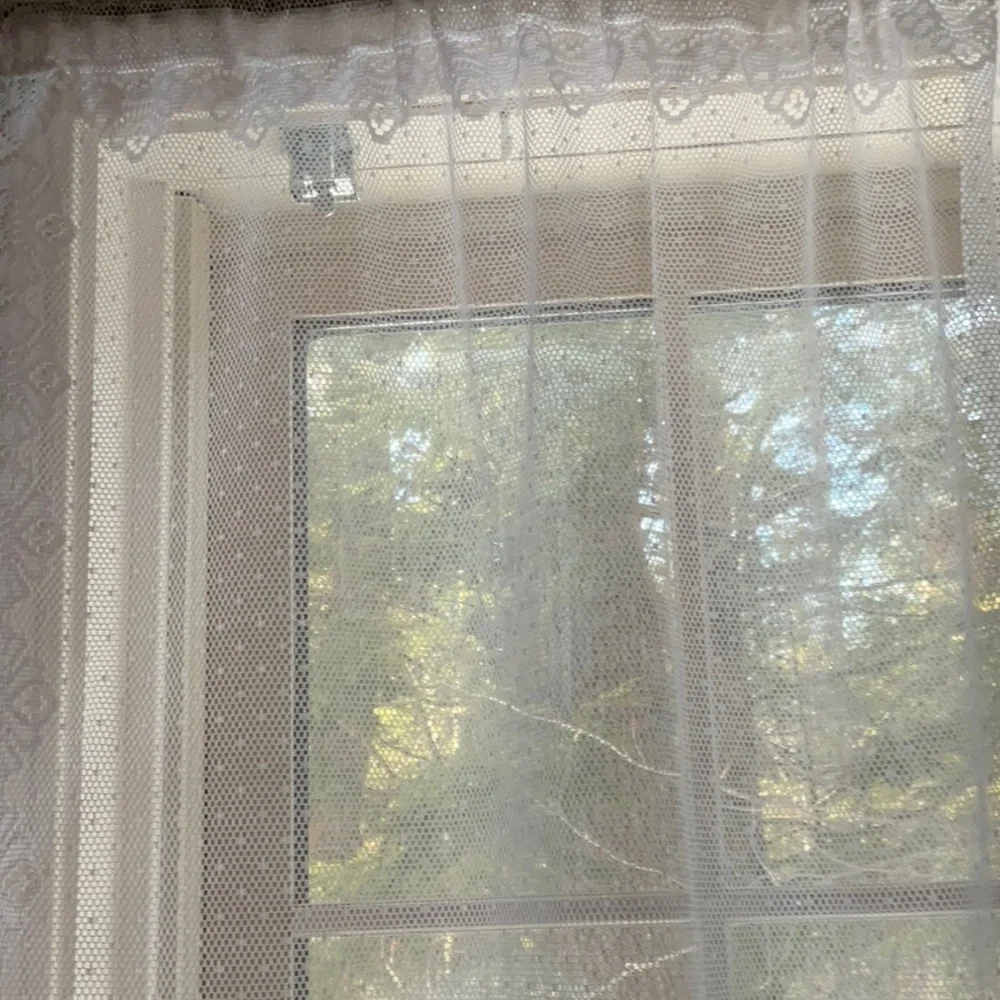 White Lace Goose Pattern Curtain